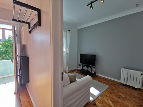 Welcoming 2-bedroom apartment in Graça - Gallery - 7
