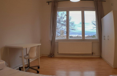 Spacious single bedroom in 2-bedroom apartment