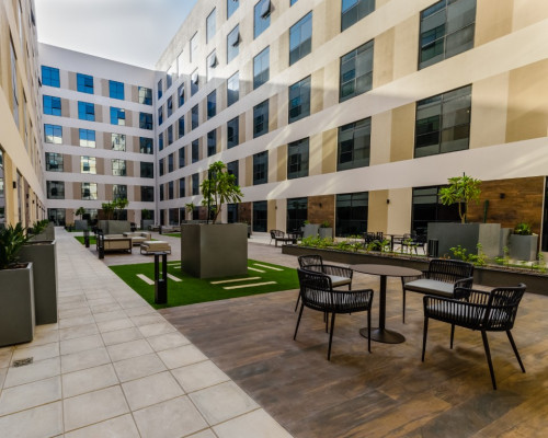 The Myriad Muscat  - Gallery -  5