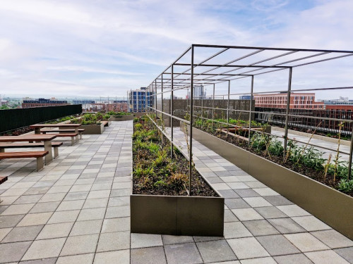 Ancoats Gardens - Gallery - 11