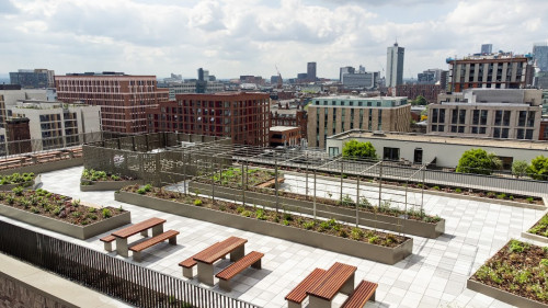 Ancoats Gardens - Gallery - 13