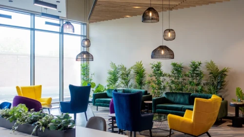Ancoats Gardens  - Gallery -  5