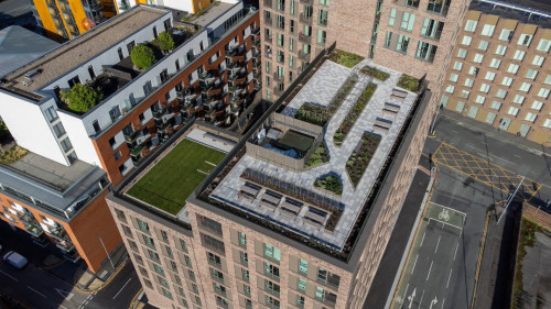 Ancoats Gardens - Gallery - 12