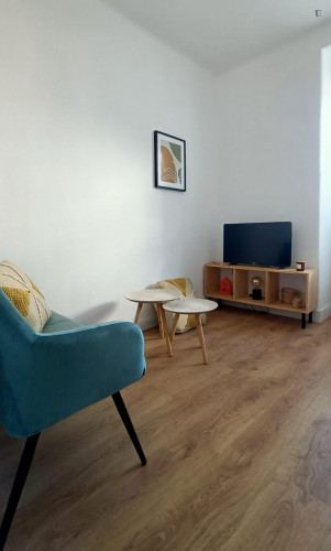 Delightful 2-bedroom apartment near Faculdade de Direito