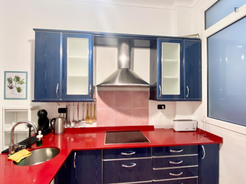 Wonderful single bedroom in a student flat, in Abando
