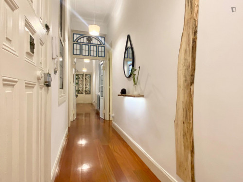 Wonderful single bedroom in a student flat, in Abando