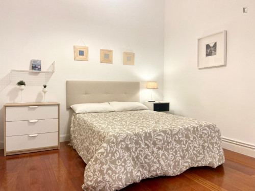 Excellent double bedroom in a 5-bedroom flat, in Abando