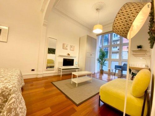 Excellent double bedroom in a 5-bedroom flat, in Abando