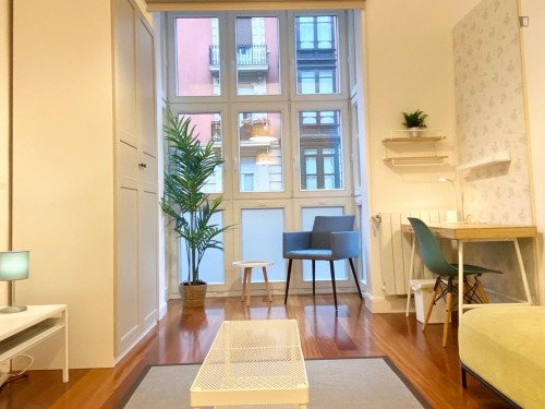 Excellent double bedroom in a 5-bedroom flat, in Abando - Gallery - 12