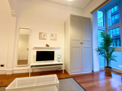 Excellent double bedroom in a 5-bedroom flat, in Abando - Gallery - 6