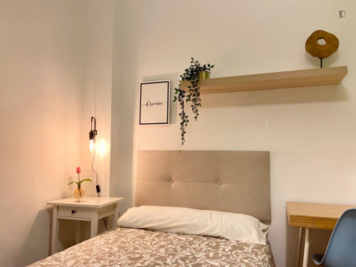 Elegant single bedroom near the Abando Indalecio Prieto train station - Gallery - 6
