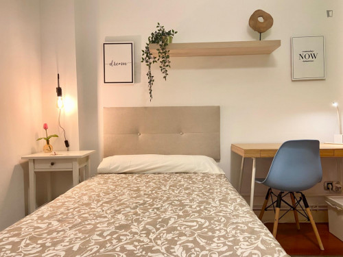 Elegant single bedroom near the Abando Indalecio Prieto train station - Gallery - 2