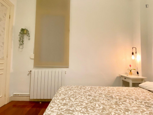 Elegant single bedroom near the Abando Indalecio Prieto train station - Gallery - 7