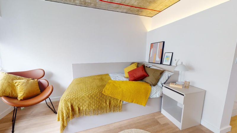 Gold Studio Premium - 4