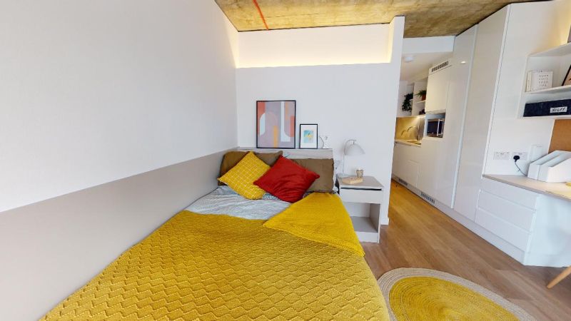 Gold Studio Premium - 3