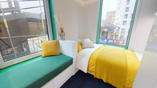  Gold Studio Plus-2627  -  iQ Brighton  - Gallery -  1