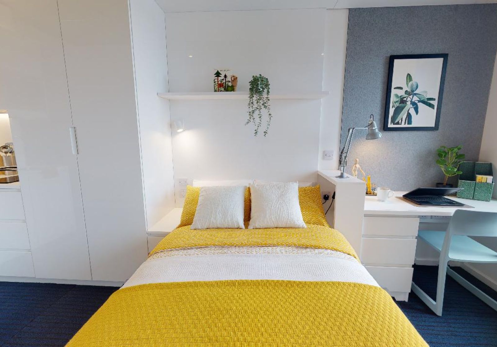  Gold Studio Plus  -  iQ Brighton  - Gallery -  1