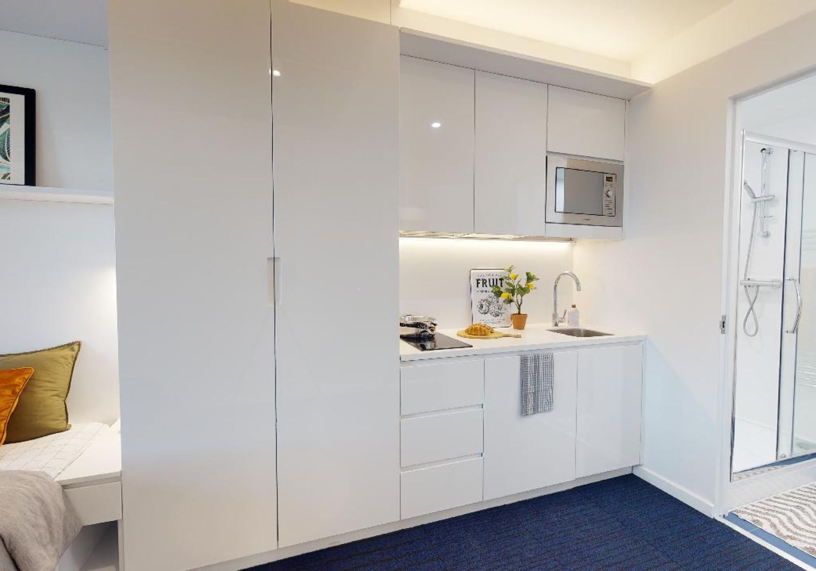  Platinum Studio Plus  -  iQ Brighton  - Gallery -  3