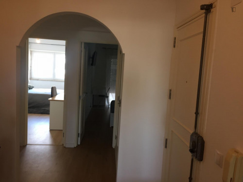 Spacious double bedroom in trendy Alvalade