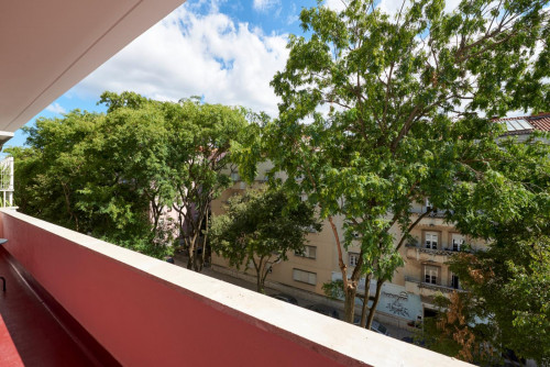 Ample double bedroom in an 11-bedroom flat, near Instituto Superior Técnico