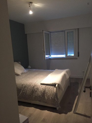 3-bedroom apartment