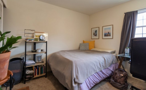 Stonegate & Carlton Scott - Gallery - 36