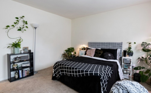 Stonegate & Carlton Scott - Rooms