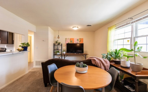 Stonegate & Carlton Scott - Gallery - 26