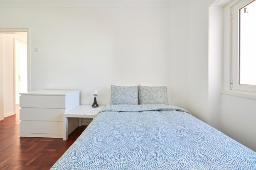 Homely double bedroom in Entrecampos
