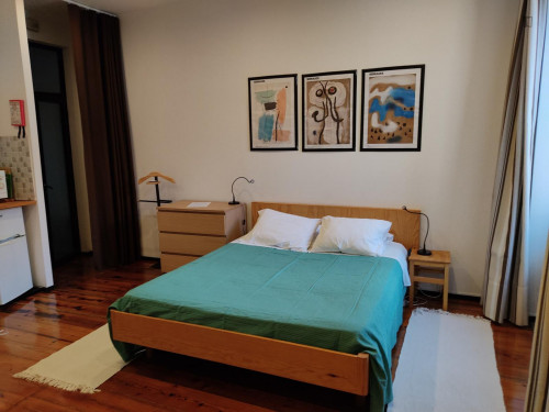 Homely studio in central Cedofeita