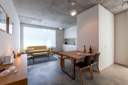 Deluxe 2-bedroom apartment in Cedofeita