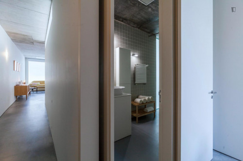 Deluxe 2-bedroom apartment in Cedofeita