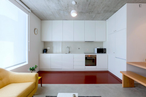Deluxe 2-bedroom apartment in Cedofeita