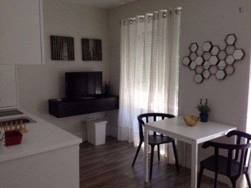 Splendid 1-bedroom apartment next to Alvalade metro station - Gallery - 6