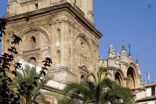 PRIVATE ROOM/STUDIO-Cathedral/CentroGranada - Gallery - 7