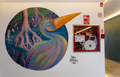 Dr. Miguel Angel Jijon Teran Collective - Gallery - 11