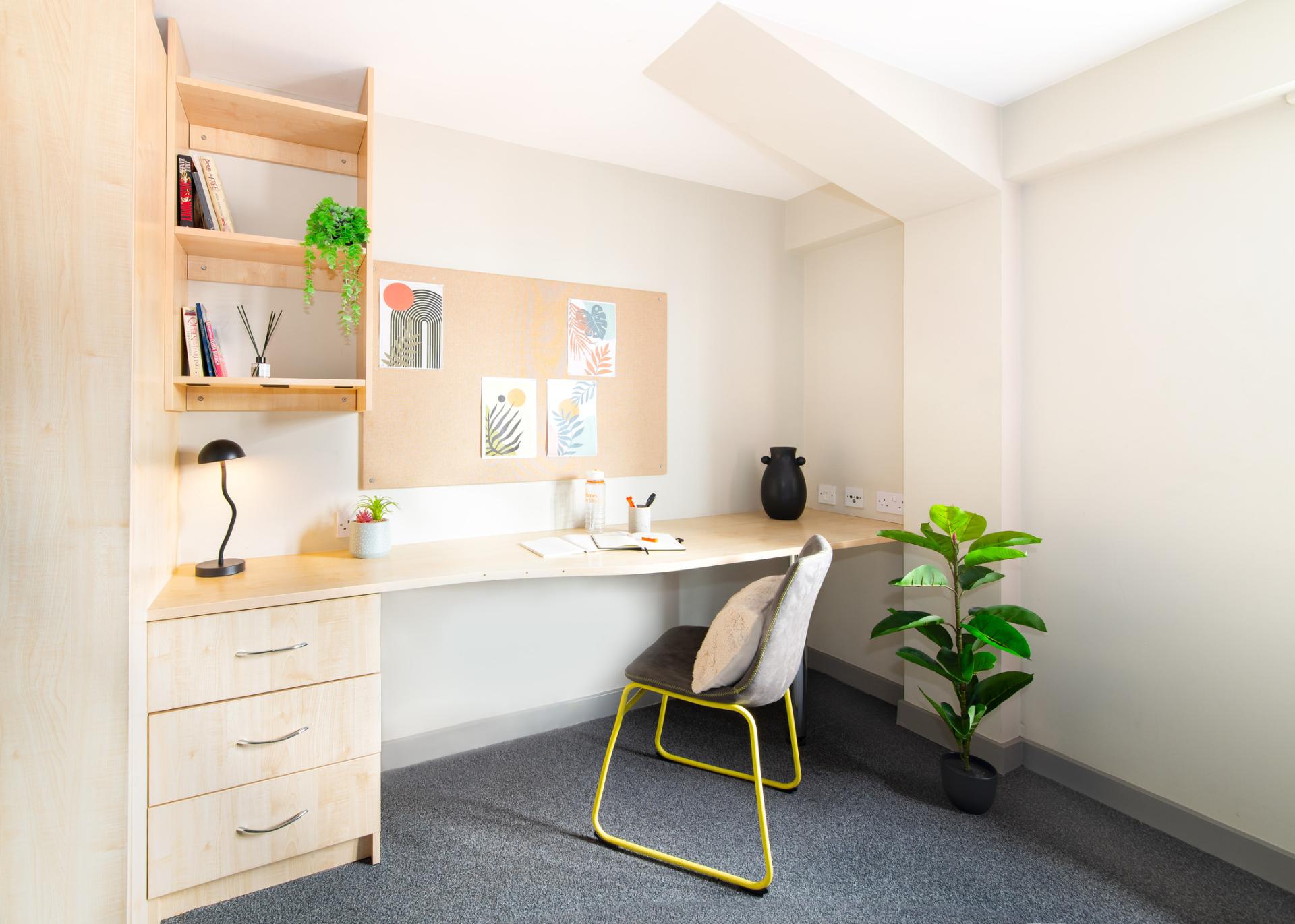  Premium Plus Studio  -  Studio 58  - Gallery -  13