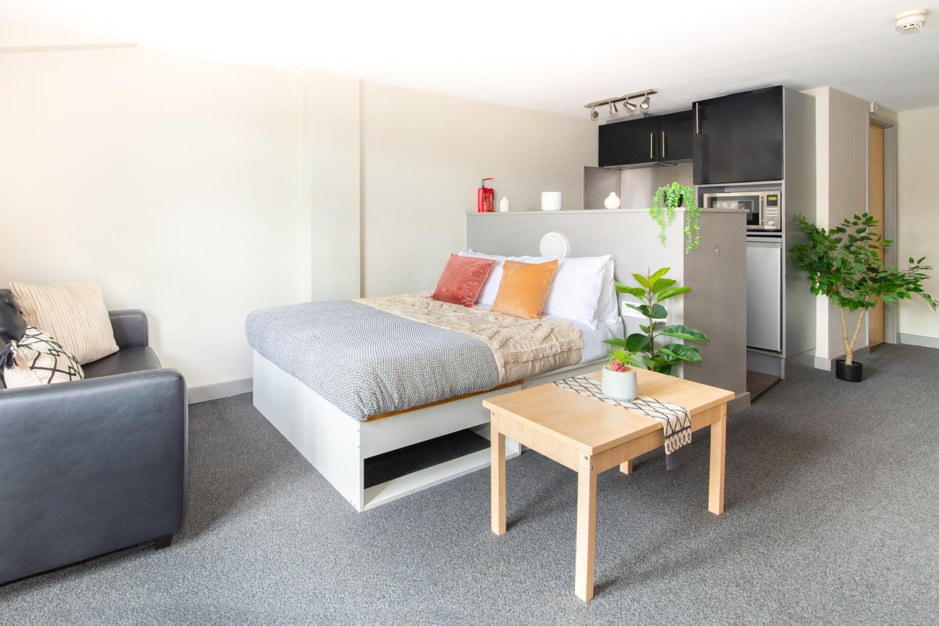  Premium Plus Studio  -  Studio 58  - Gallery -  12