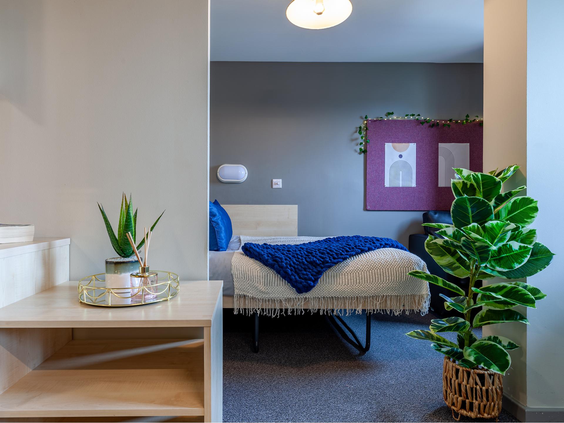  Classic Studio  -  Crown House  - Gallery -  16