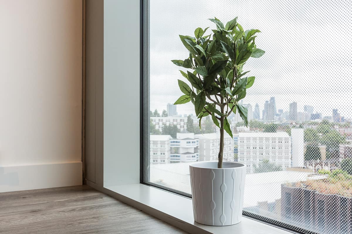  Silver Studio - Courtyard View | Mid Level  -  Kings Cross Residence - Flexible Tenancies  - Gallery -  4