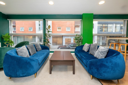Kirby Street Residence - Flexible Tenancies - Gallery - 18