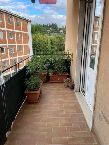 Single bedroom in a 3-bedroom apartment in Loreto - Gallery - 6