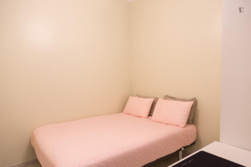 Cosy double bedroom in Arroios