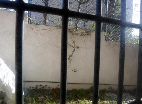 Very nice 2 bedroom flat in Campo de Ourique - Gallery - 12