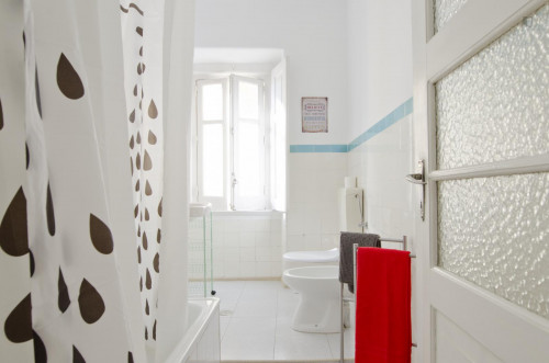 Charming single bedroom near IST - Instituto Superior Técnico de Lisboa - Gallery - 7