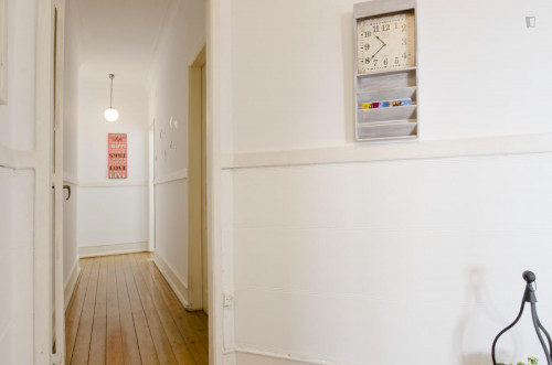 Charming single bedroom near IST - Instituto Superior Técnico de Lisboa  - Gallery -  5