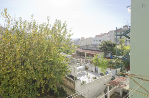Charming single bedroom near IST - Instituto Superior Técnico de Lisboa - Gallery - 8
