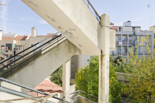 Charming single bedroom near IST - Instituto Superior Técnico de Lisboa - Gallery - 9