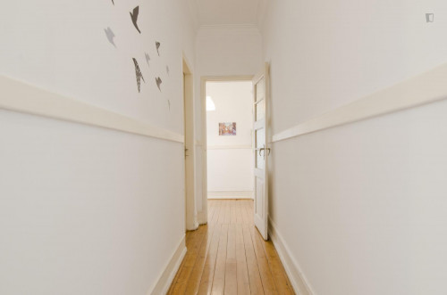 Charming single bedroom near IST - Instituto Superior Técnico de Lisboa
