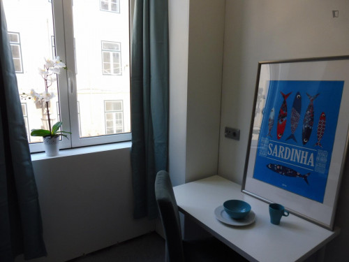 Pleasant single ensuite room in Baixa, central Lisbon